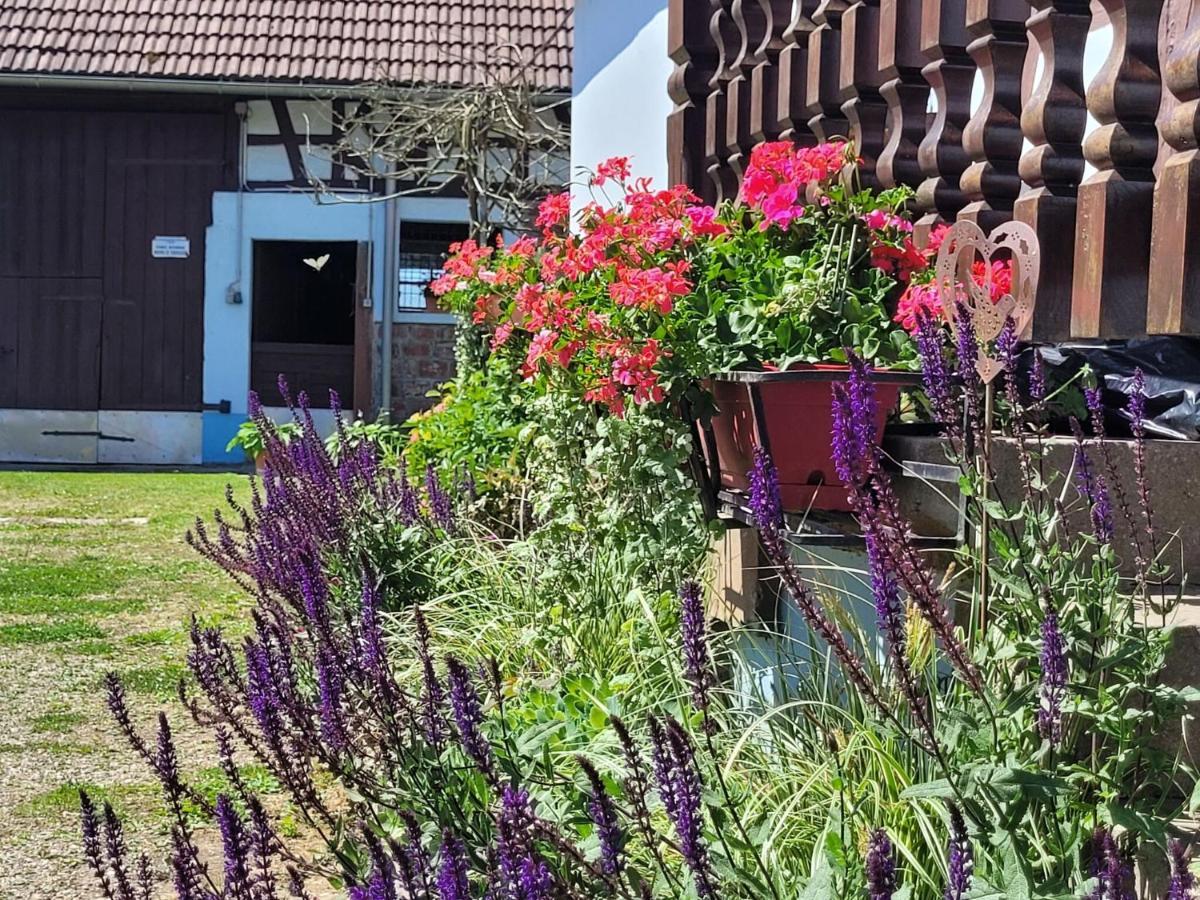 Cosy Holiday Home In Schleithal With Garden Esterno foto