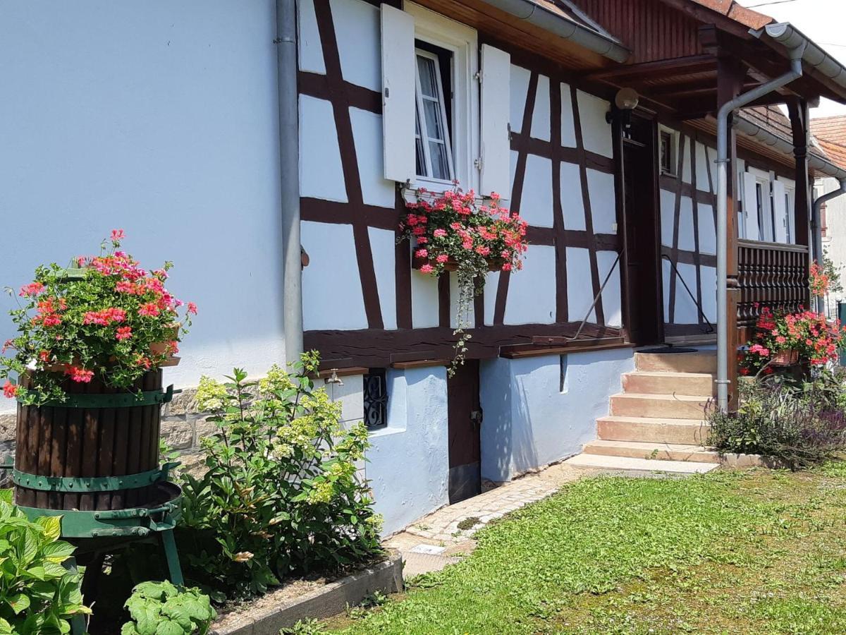 Cosy Holiday Home In Schleithal With Garden Esterno foto