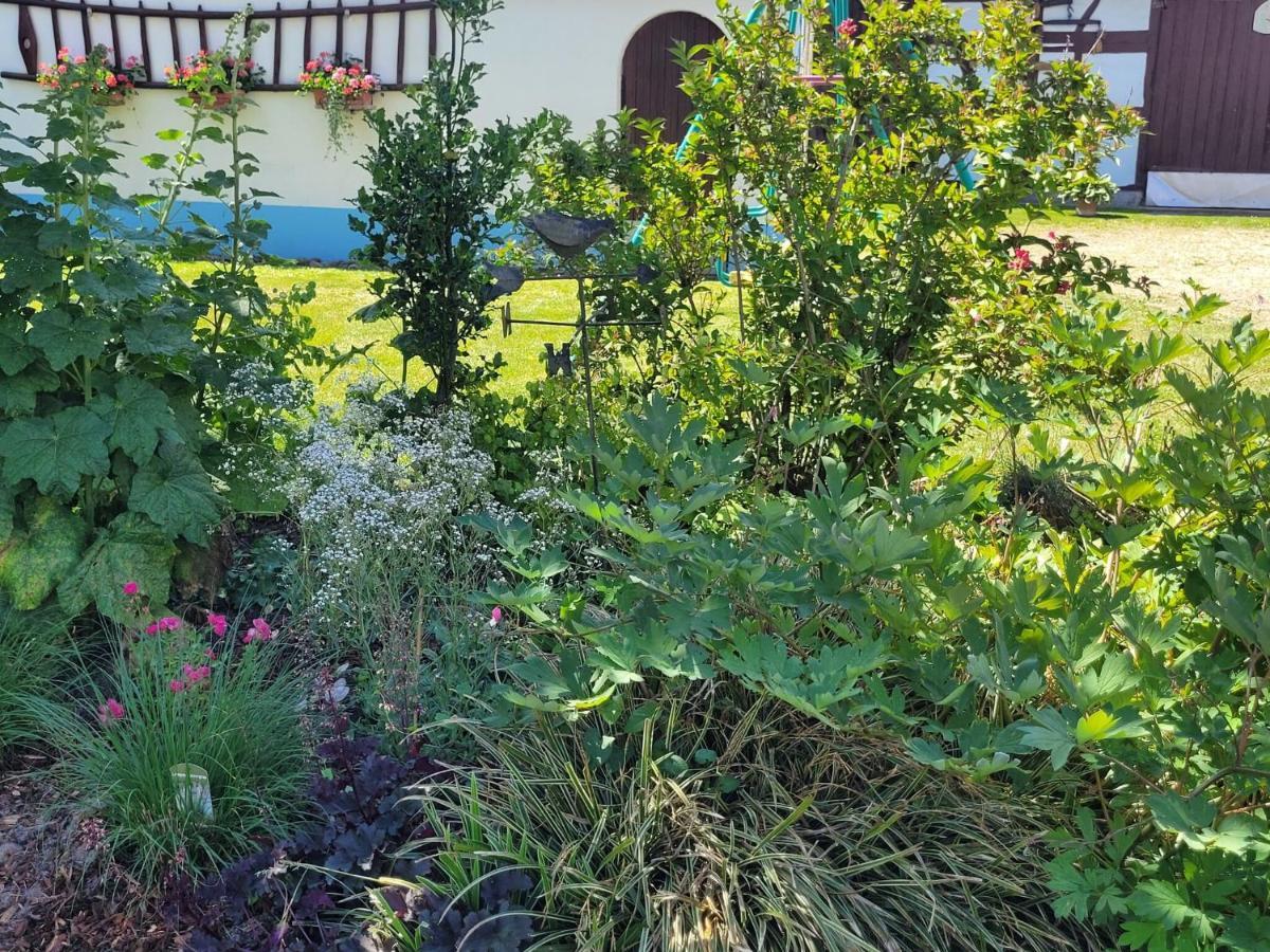 Cosy Holiday Home In Schleithal With Garden Esterno foto