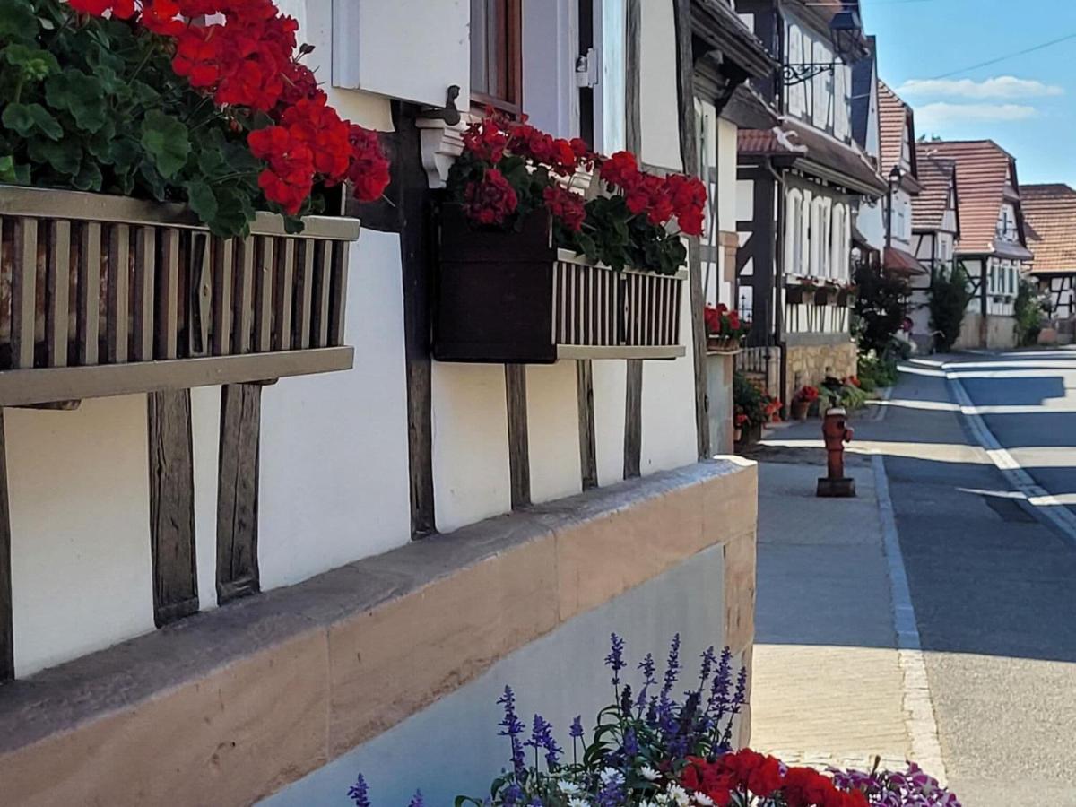 Cosy Holiday Home In Schleithal With Garden Esterno foto